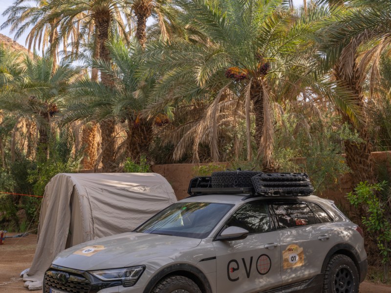 Video about Rive Maroc 2024